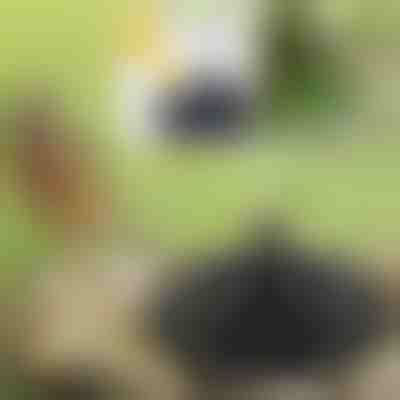 Hozza életre kertjét a napenergiával működő varázsszökőkúttal | FONTANA