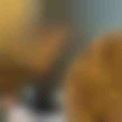 Fényes ágak | BRANCHLUMOS