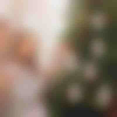 Karácsonyi pénztartó díszek (4 darab) | WEALTHMAS