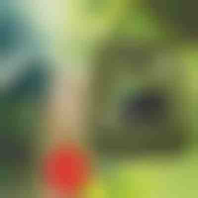 Hordozható zuhanyzó | SHOWDY