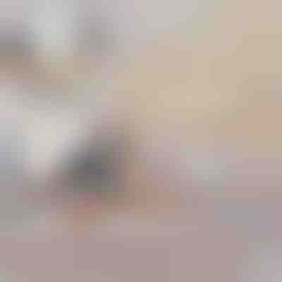 Felfújható Ággyá Alakítható Kanapé | SOFLINKA