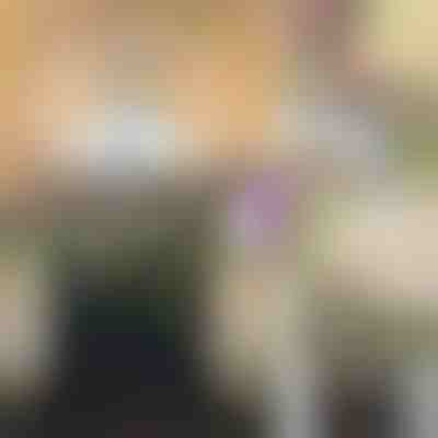 Lilaakác műinda | WISBLOOM