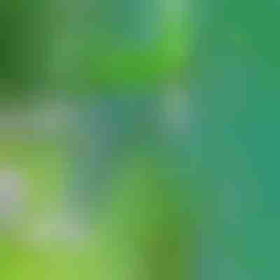 Egy eszköz a gyomok eltávolítására | SPINOUT