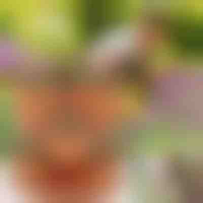 Állítható magasságú virágcserepek (3x darab) | PLANTUP