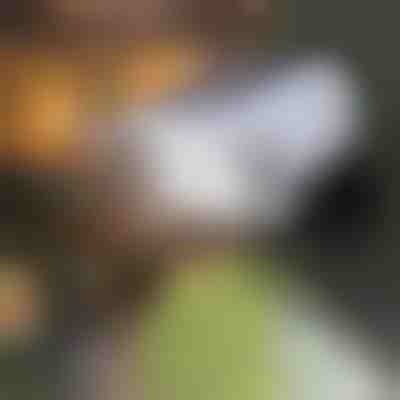 Mozgásérzékelős napelemes lámpa | LUMACAM