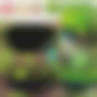 Textil emelt kerti ágyás - 90 x 30 cm, légáteresztő filc | PLANTIE