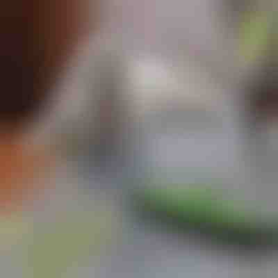 Háziállat szőrtávolító felmosó | PAWMOP