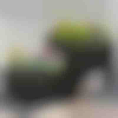 Növény termesztő doboz | BOTANITKO