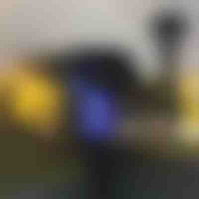 Kültéri szúnyogriasztó lámpa (2db) | SOLARBUZZ